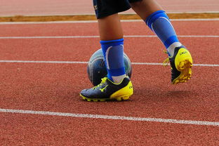 足球产业链：从青训到转播的全产业生态，足球产业主要经营内容